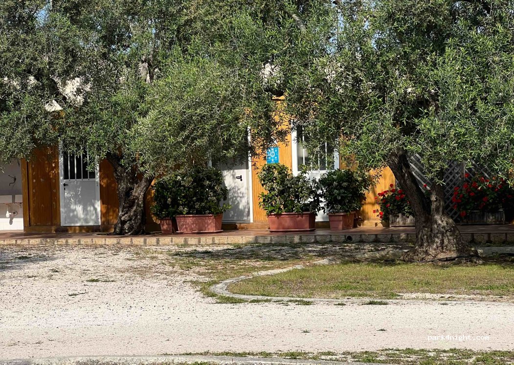 Camping Brezza tra gli Ulivi — foto 2