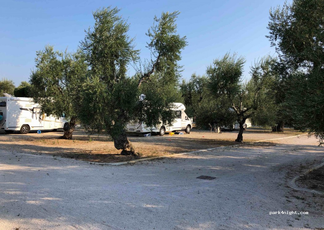 Camping Brezza tra gli Ulivi — foto 3