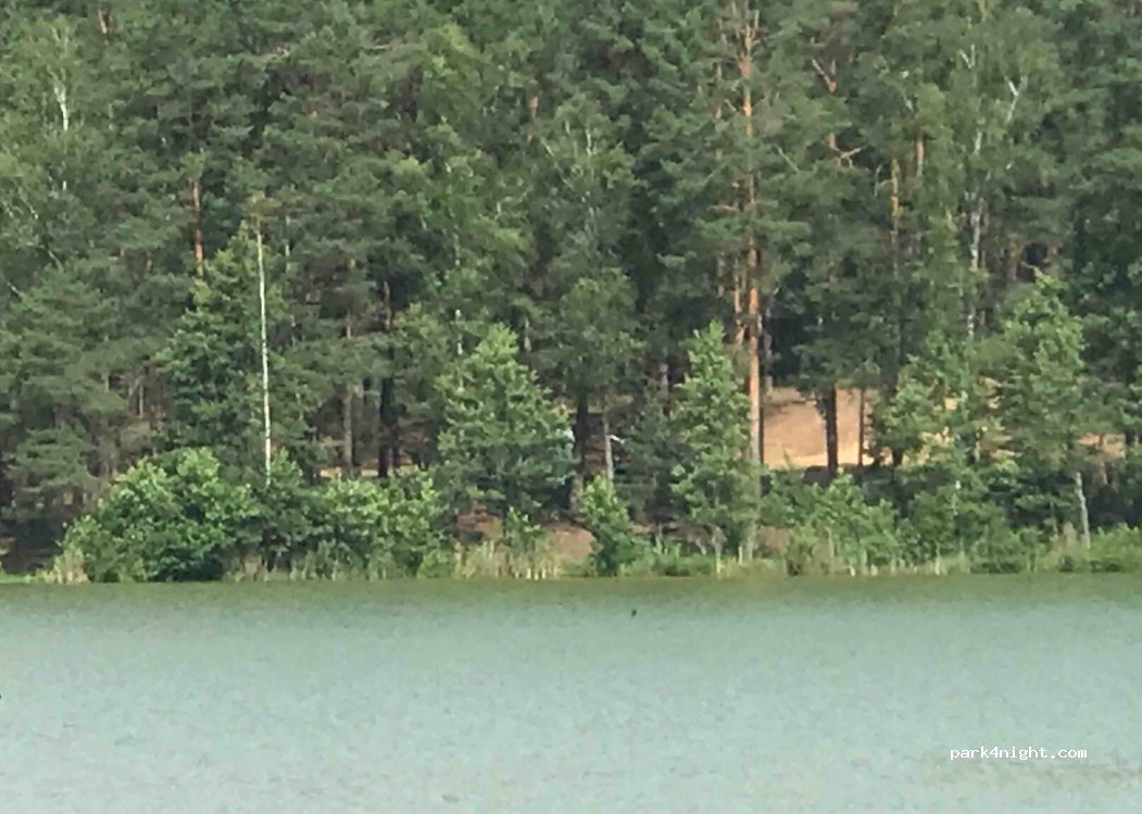 () Shchitovka - Unnamed Road — foto
