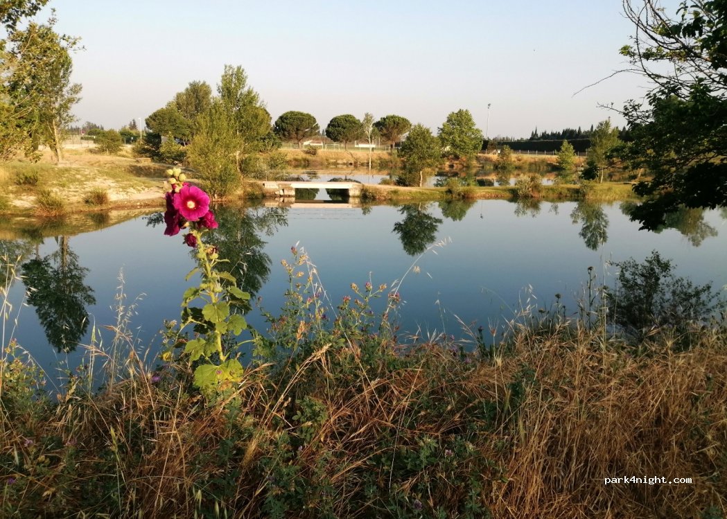 (13440) Cabannes - Chemin de Brasse — foto