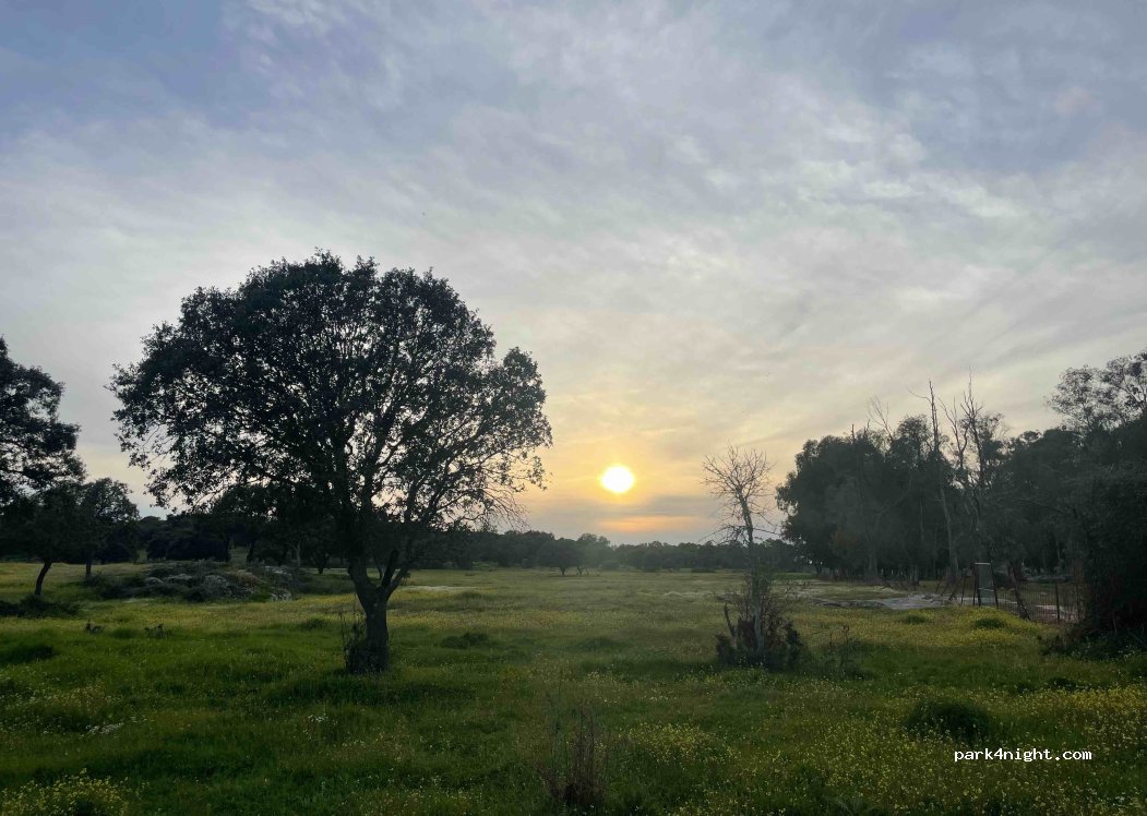 (10164) Urbanización Zamarrilla - — foto