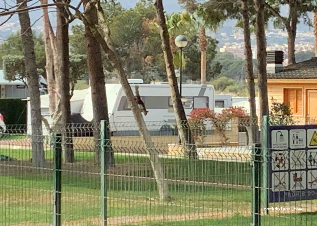 Camping La Colina — foto 3