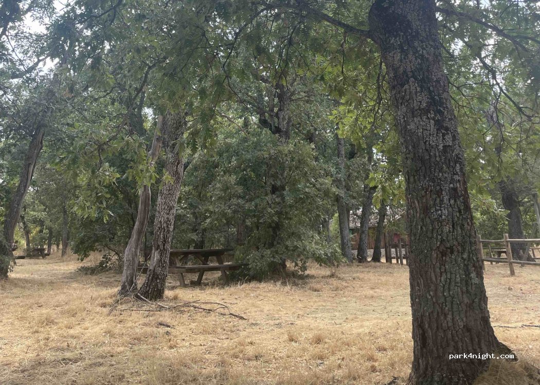(40100) Real Sitio de San Ildefonso - Unnamed Road — foto 5