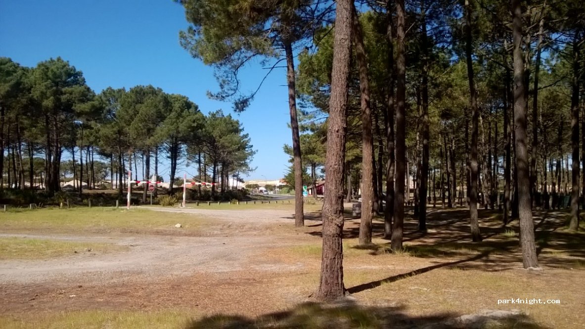 (33121) Carcans - D207 — foto 2