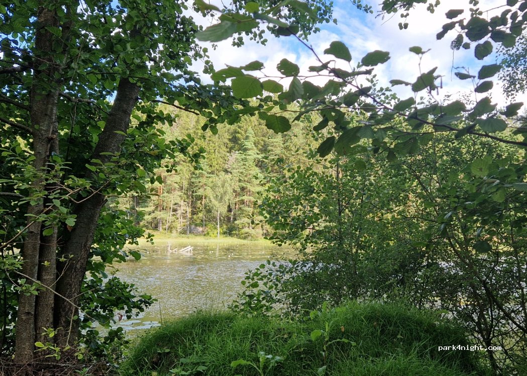 (434 99) Hällingsjö - Unnamed Road — foto