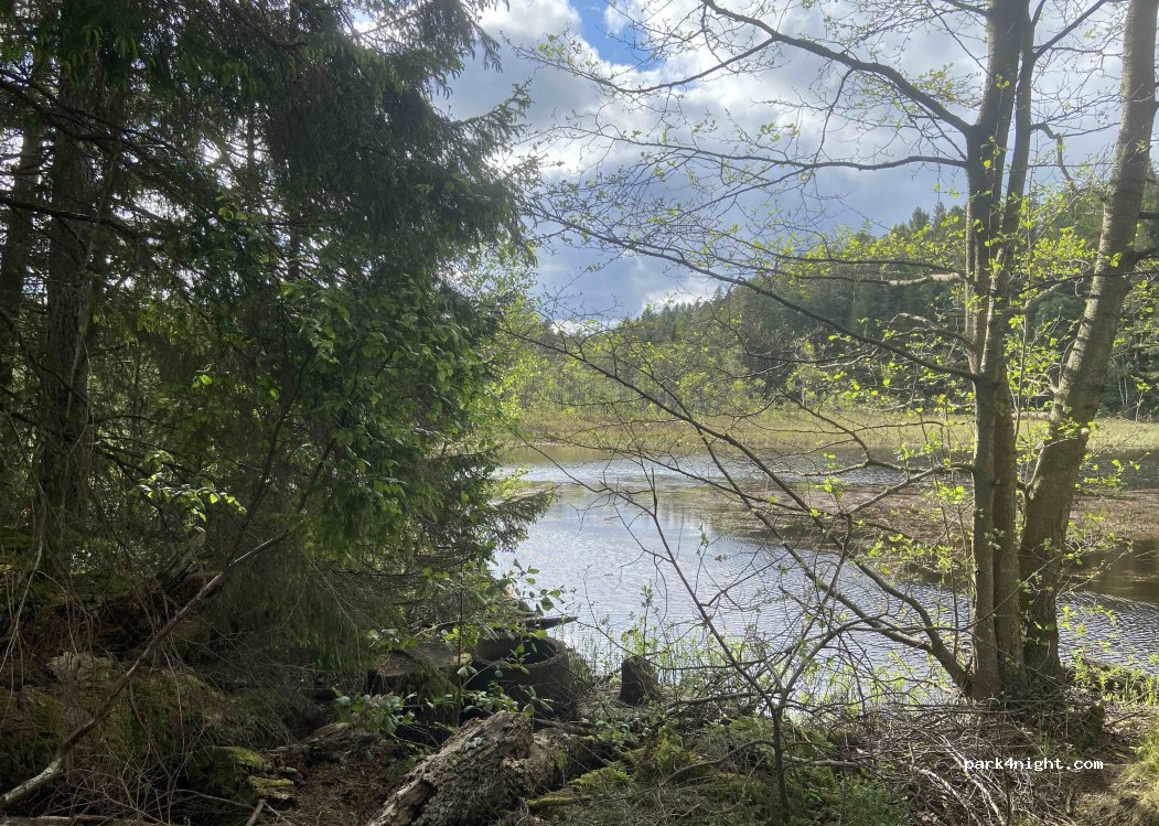 (434 99) Hällingsjö - Unnamed Road — foto 4
