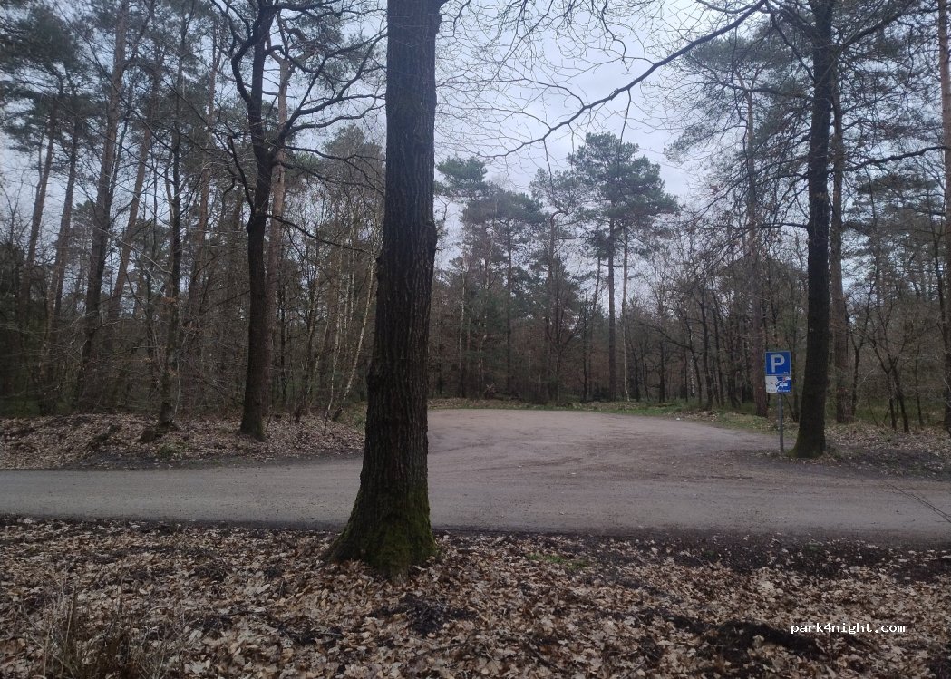 (8076) Vierhouten - Unnamed Road — foto