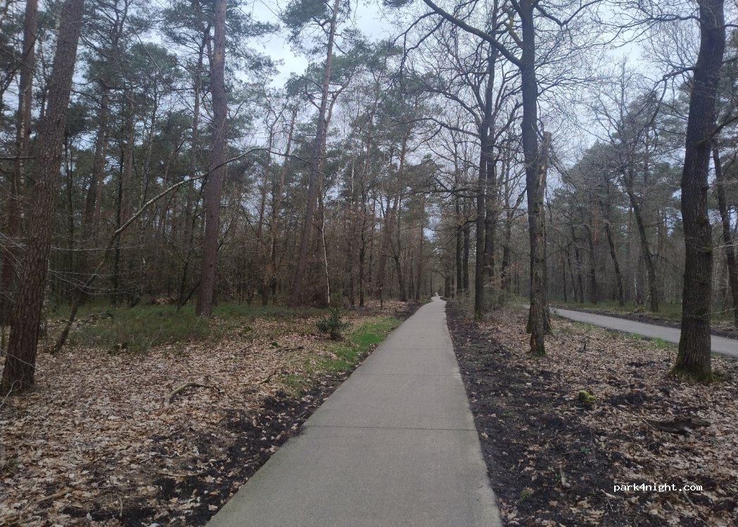 (8076) Vierhouten - Unnamed Road — foto 2