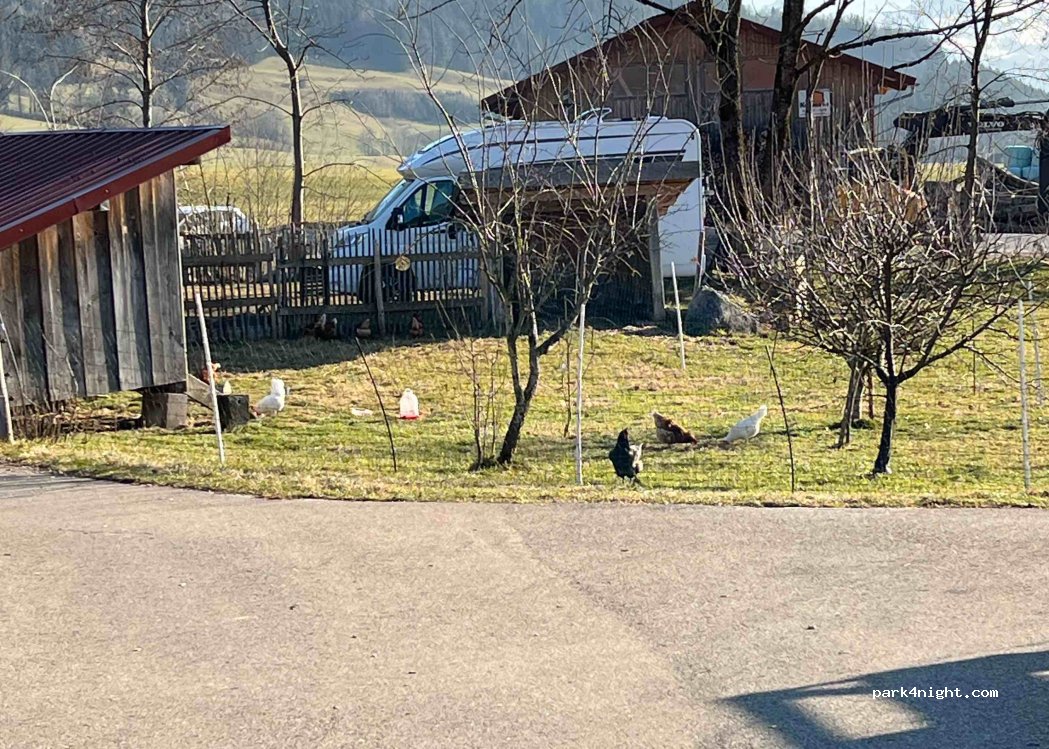 (87549) Rettenberg - Am Mühlbach 12 — foto 5