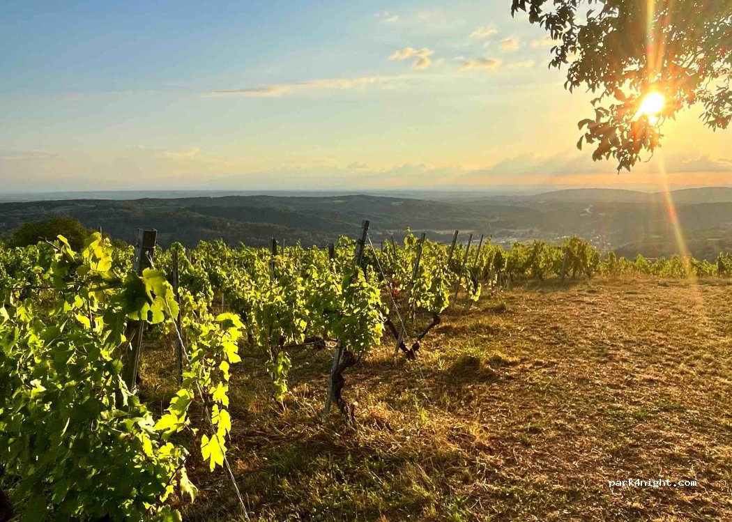 Balades apéro sunset by VAINGABOND — foto 2