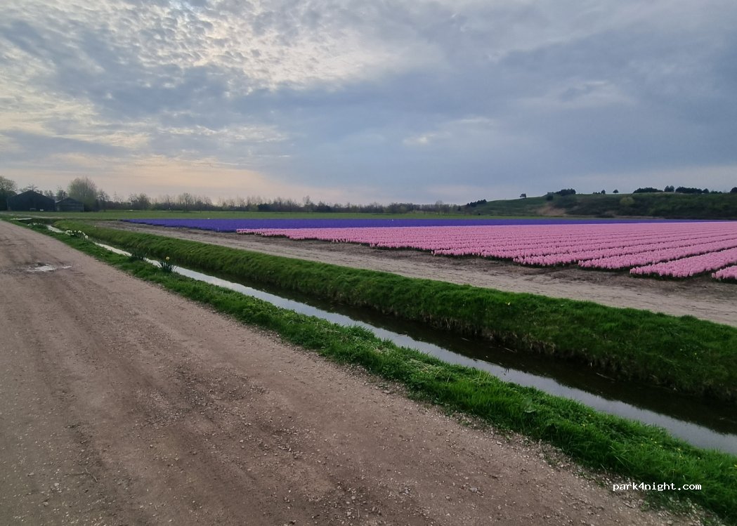 (2161 AT) Lisse - Leidsevaart 35 — foto 3