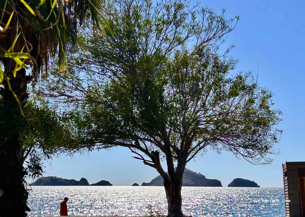 YANIKLAR DOĞA KAMP — foto
