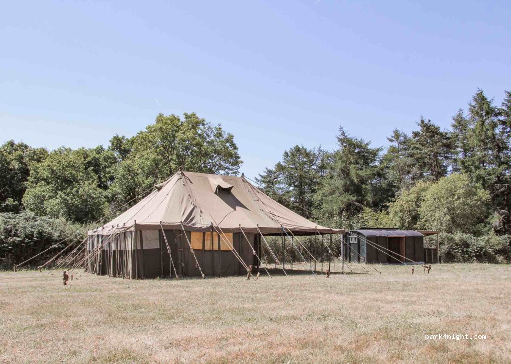 Beech Tree Campsite — foto