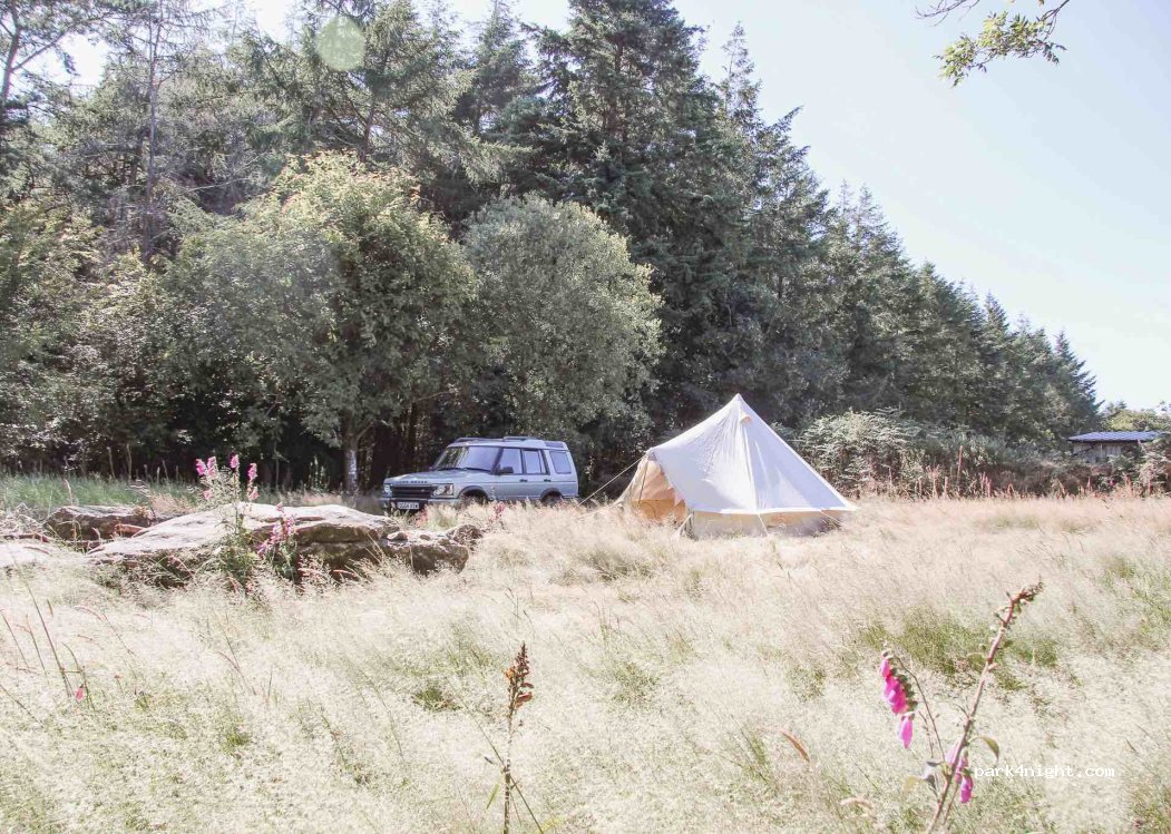 Beech Tree Campsite — foto 2