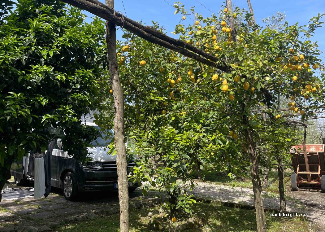 Agricampeggio Oasi Verde — foto 4