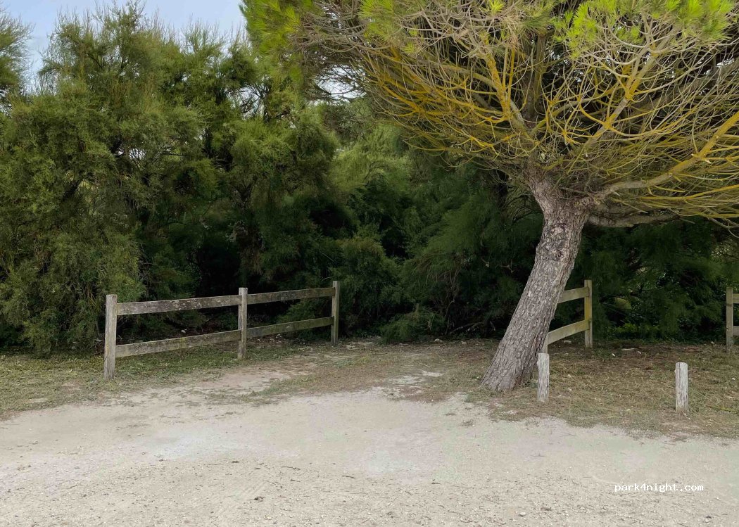 (17580) Le Bois-Plage-en-Ré - 33 Route du Petit Sergent — foto 3