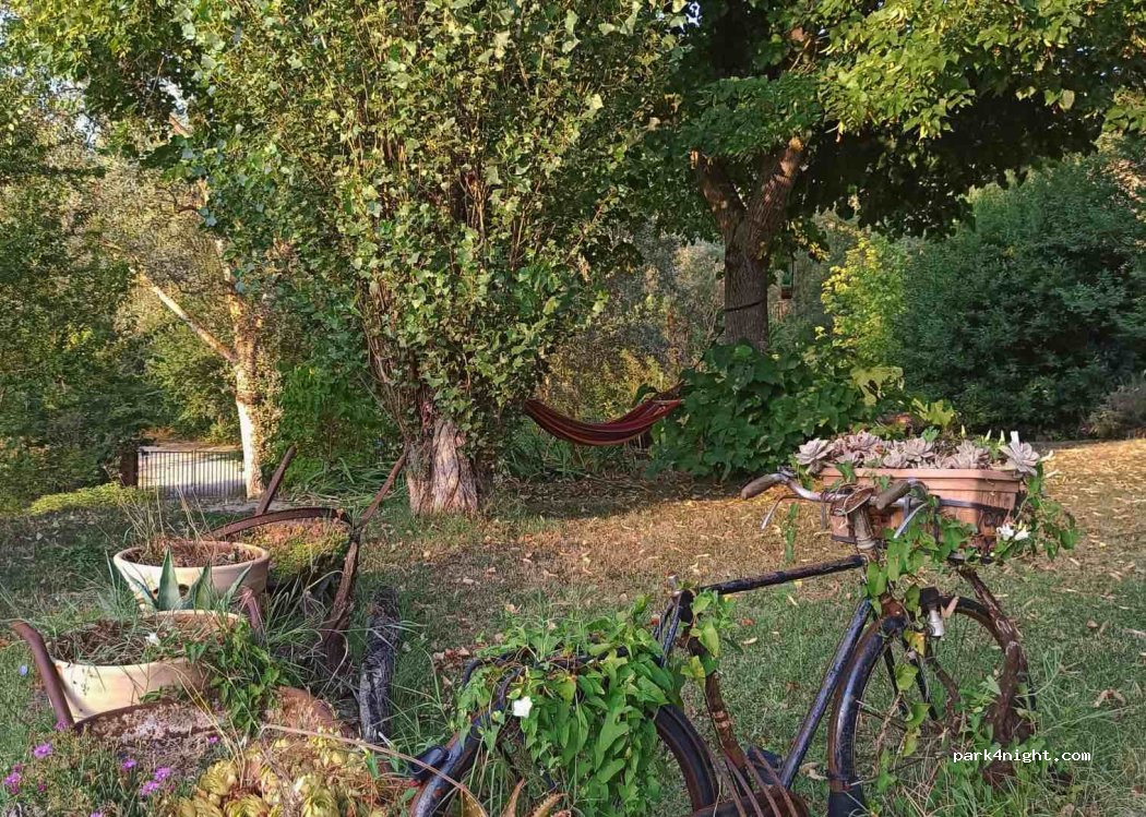 WildSellustra countryside garden camping. — foto 2