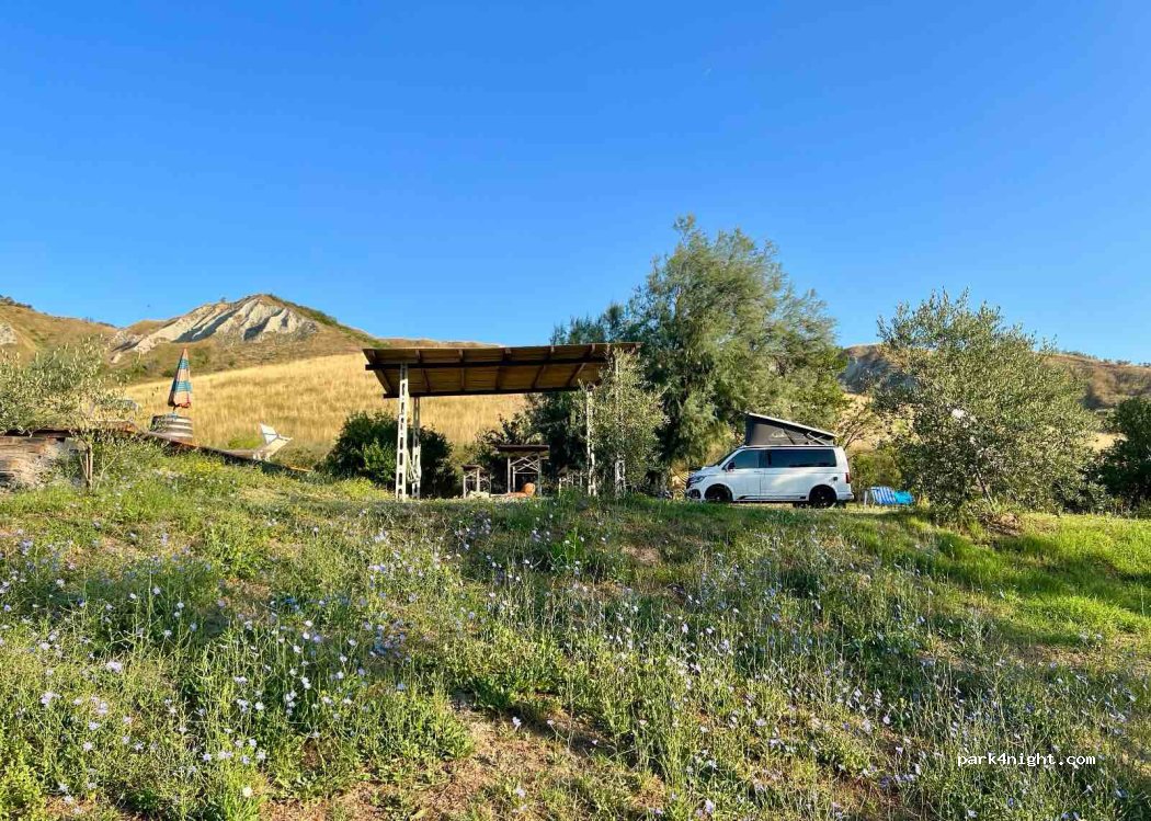 WildSellustra countryside garden camping. — foto 5