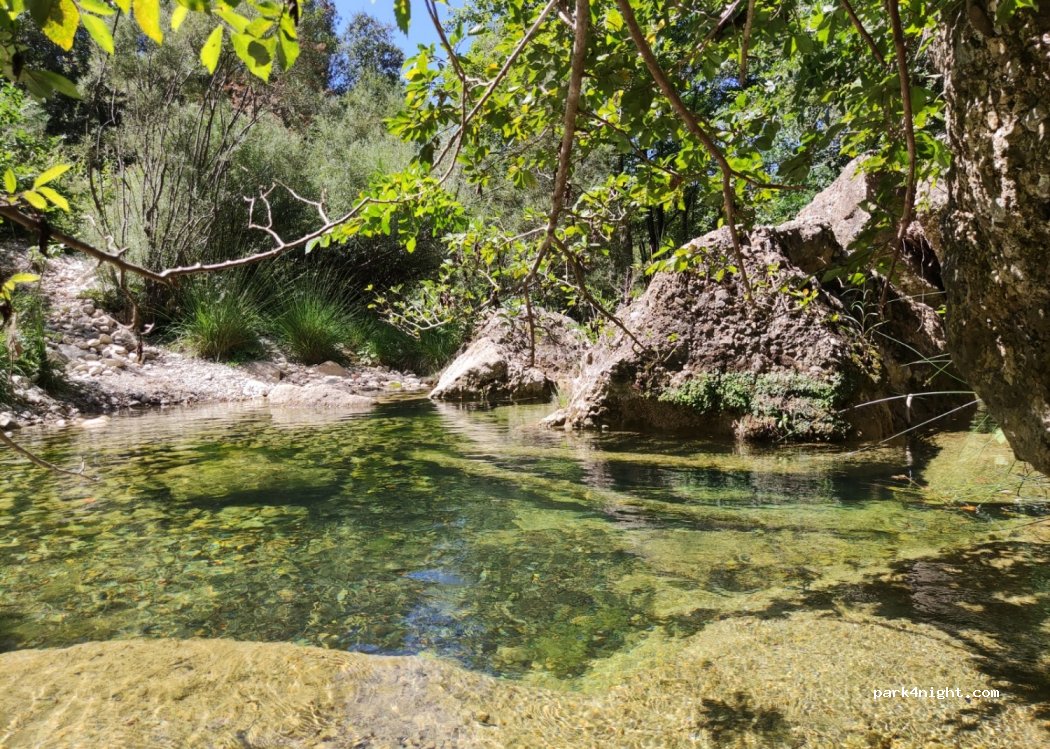 The School of Nature — foto 2