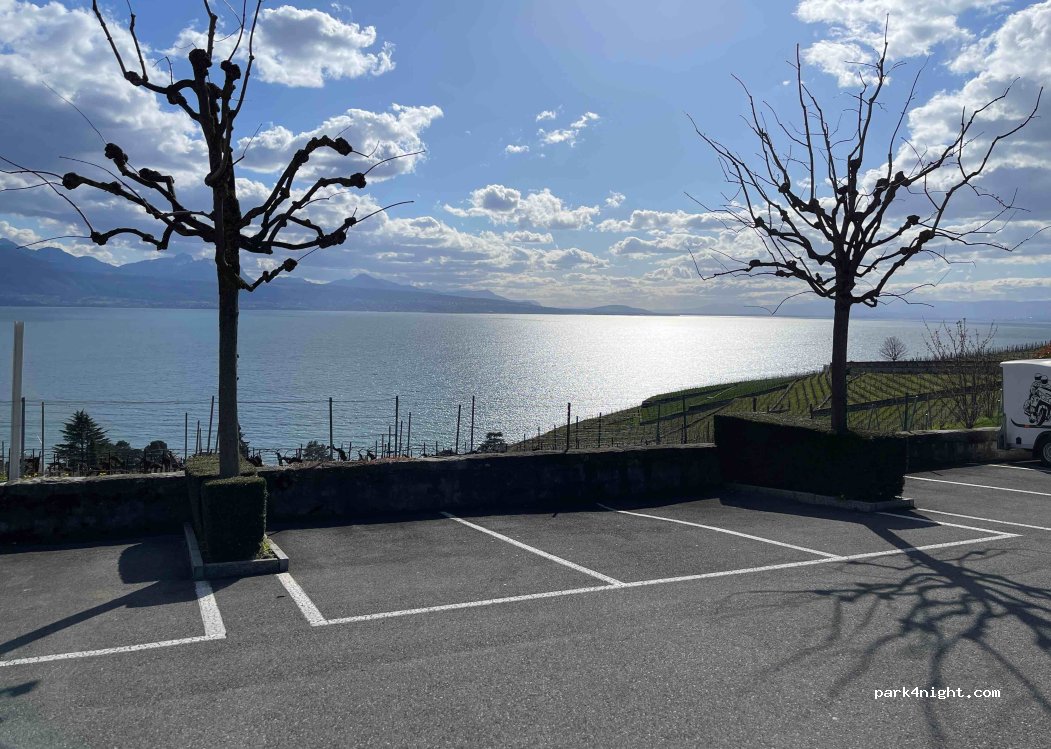 (1091) Bourg-en-Lavaux - 2 Route de la Petite Corniche — foto