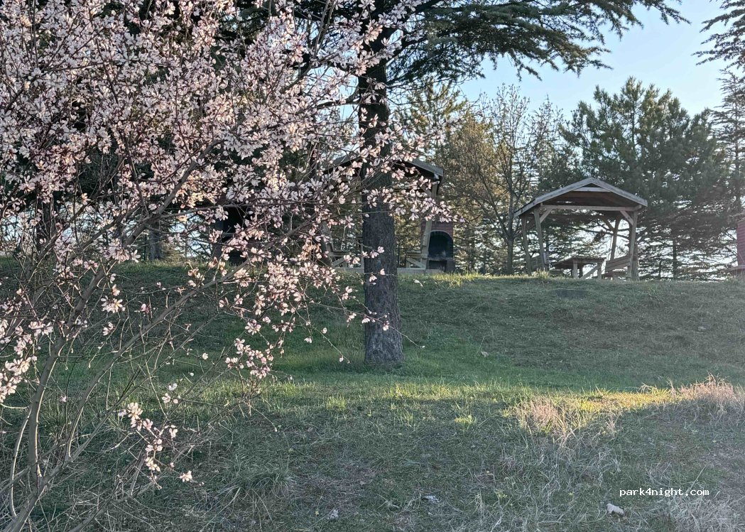 (26004) Odunpazarı - 325. Sk. — foto 2