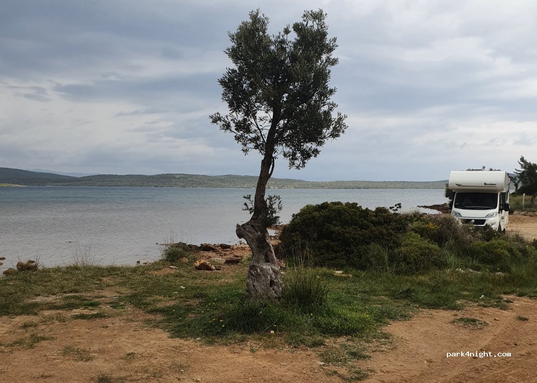 (10405) Namık Kemal - — foto