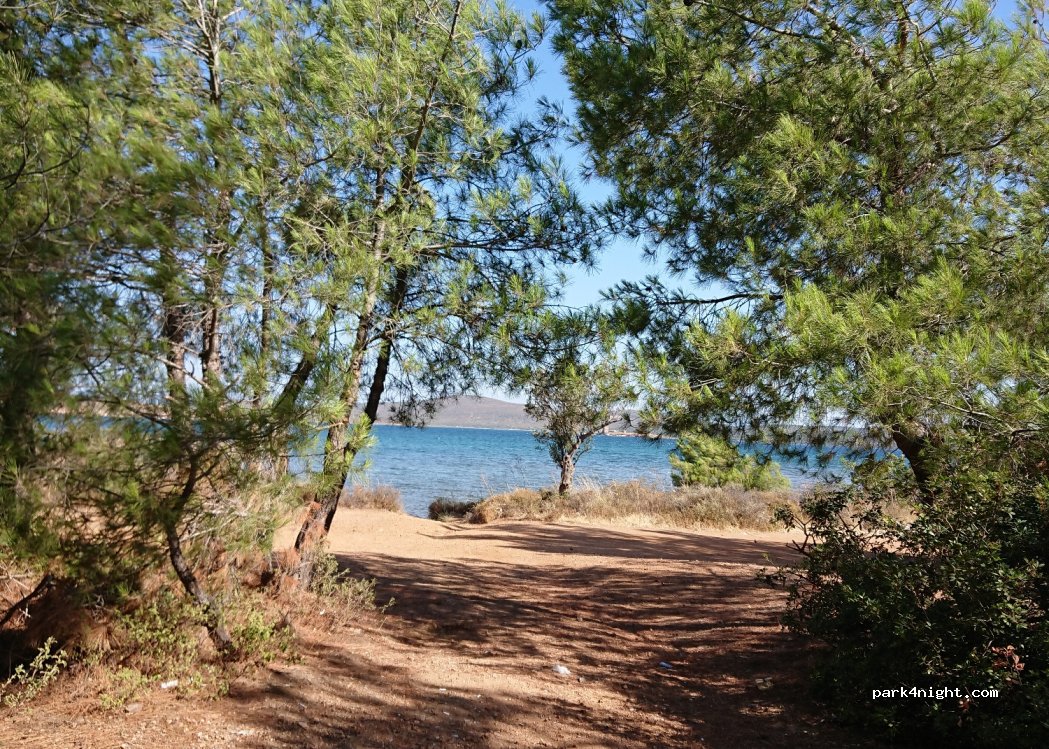(10405) Namık Kemal - — foto 2