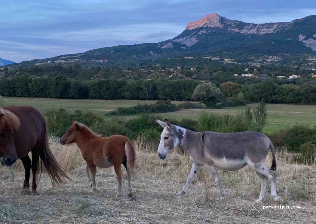 Domaine d’Aimel — foto 4