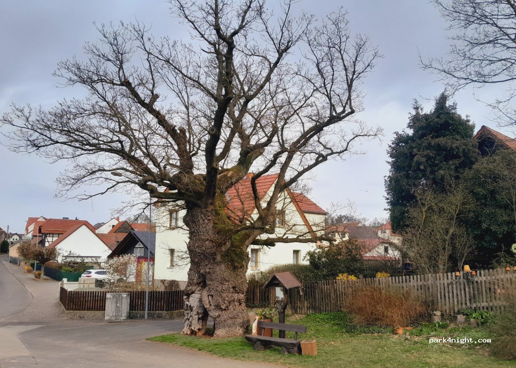 (98590) Schwallungen - 10 Schwarzbacher Straße — foto