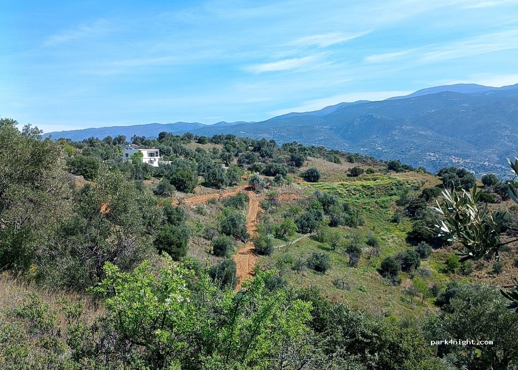 Admonis - Home in the olive grove — foto
