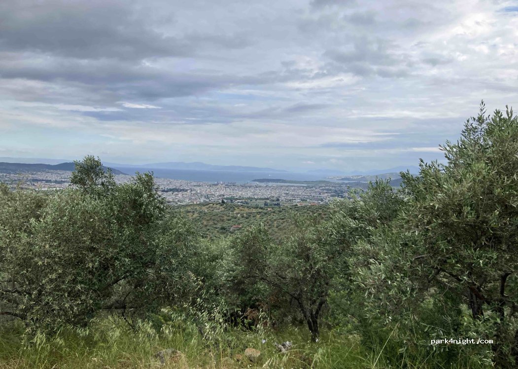 Admonis - Home in the olive grove — foto 2