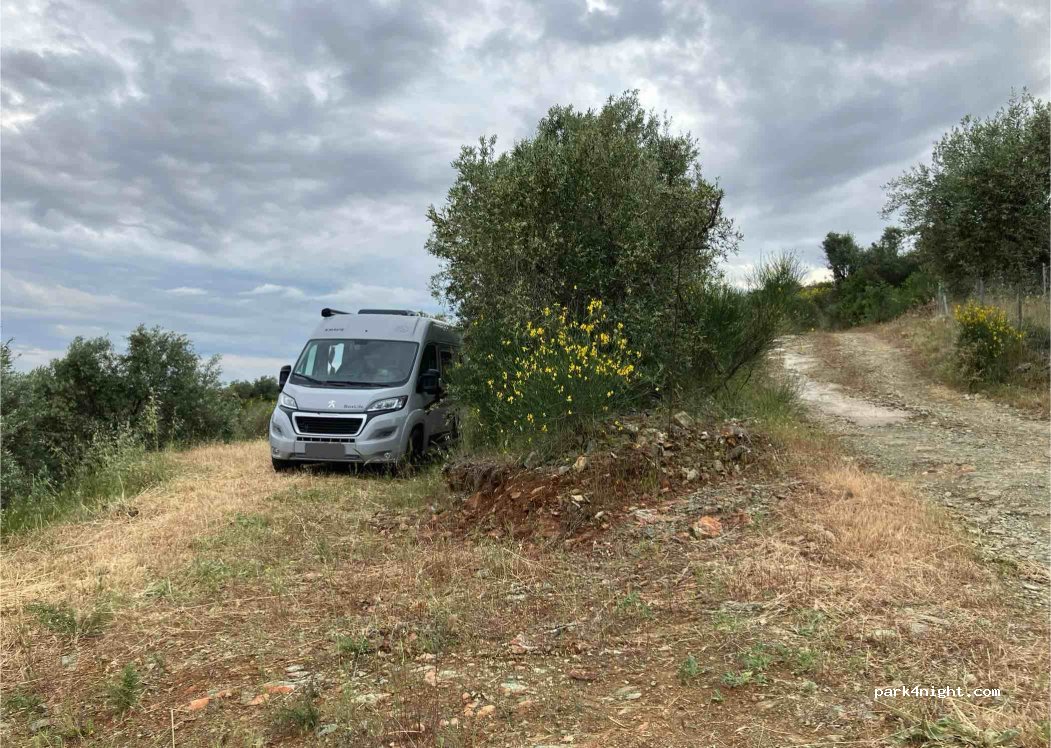 Admonis - Home in the olive grove — foto 3