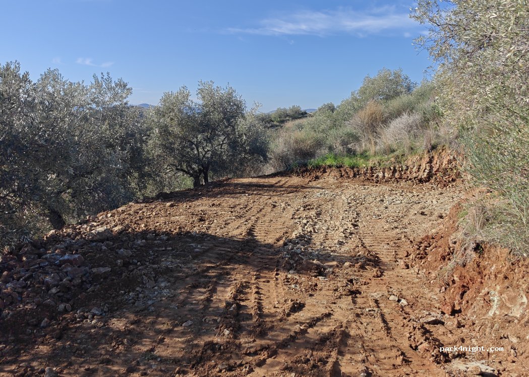 Admonis - Home in the olive grove — foto 4