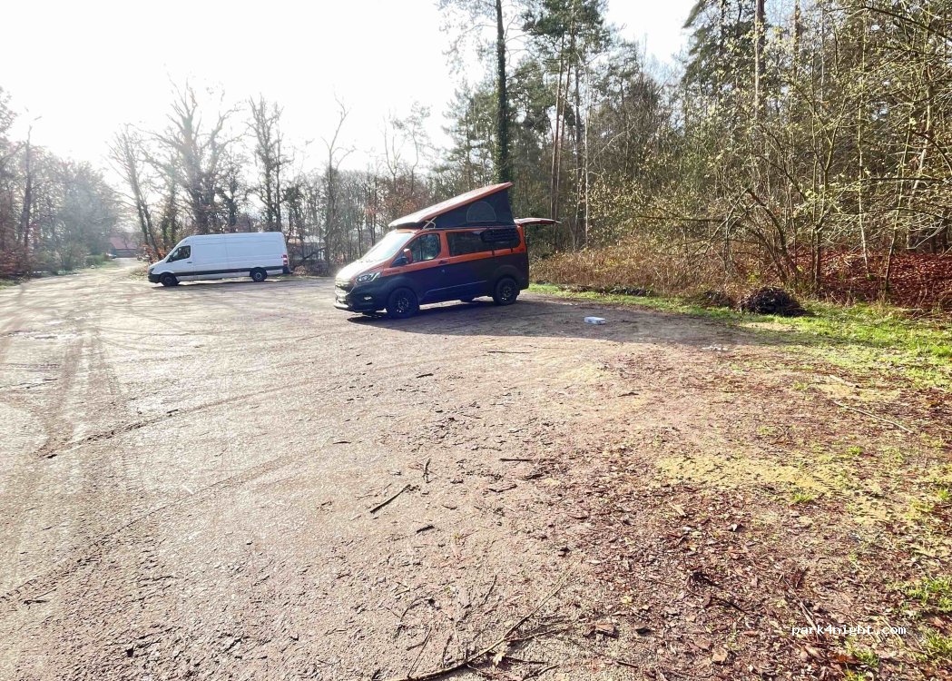 (21391) Reppenstedt - 9 Waldweg — foto 2