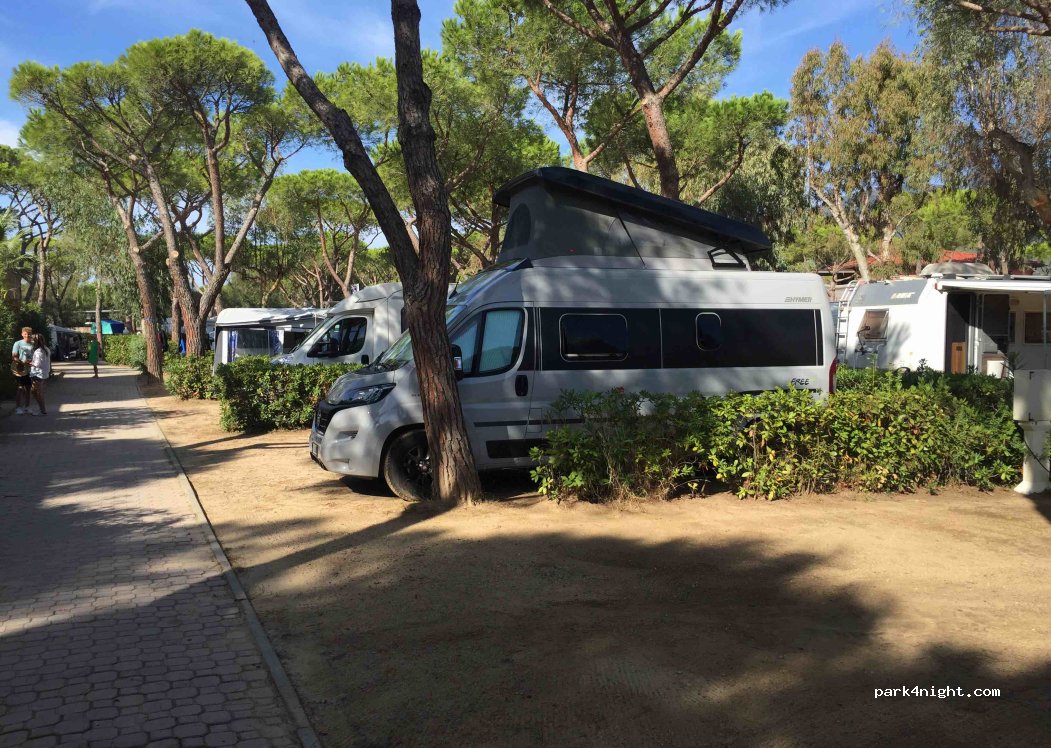 Ville degli Ulivi Camping — foto 2