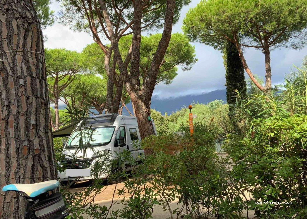 Ville degli Ulivi Camping — foto 4