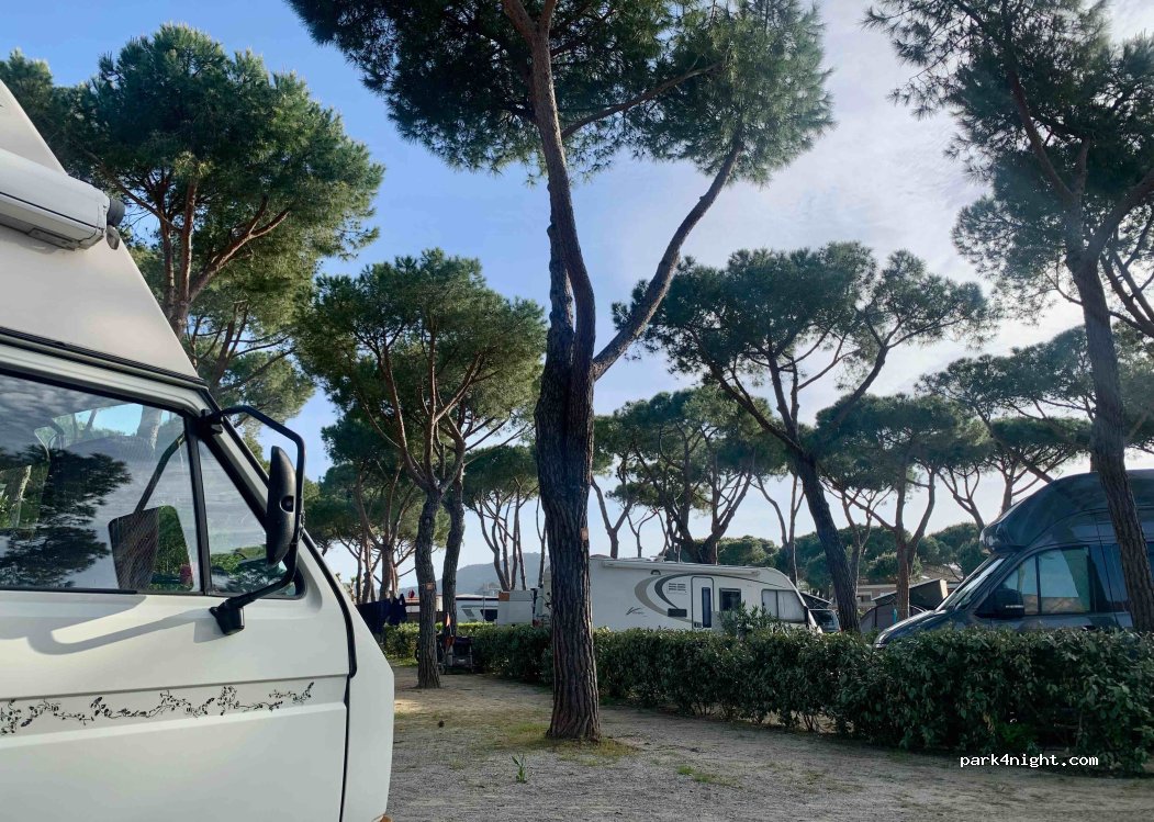 Ville degli Ulivi Camping — foto 5