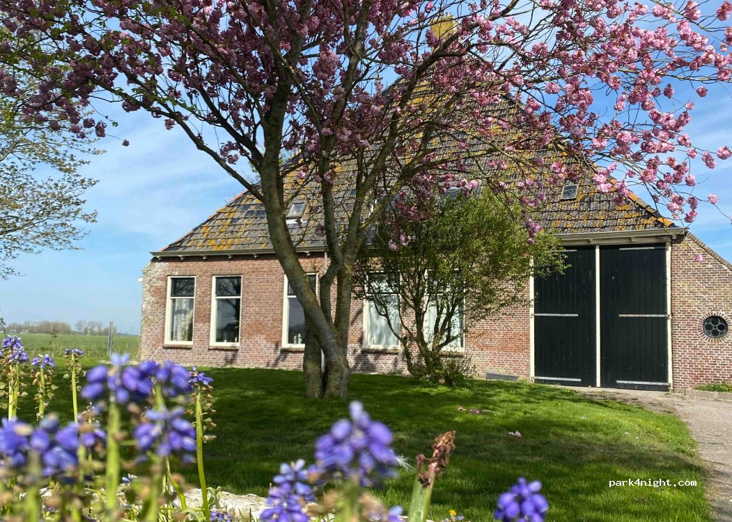 Camperplaats Nijland — foto