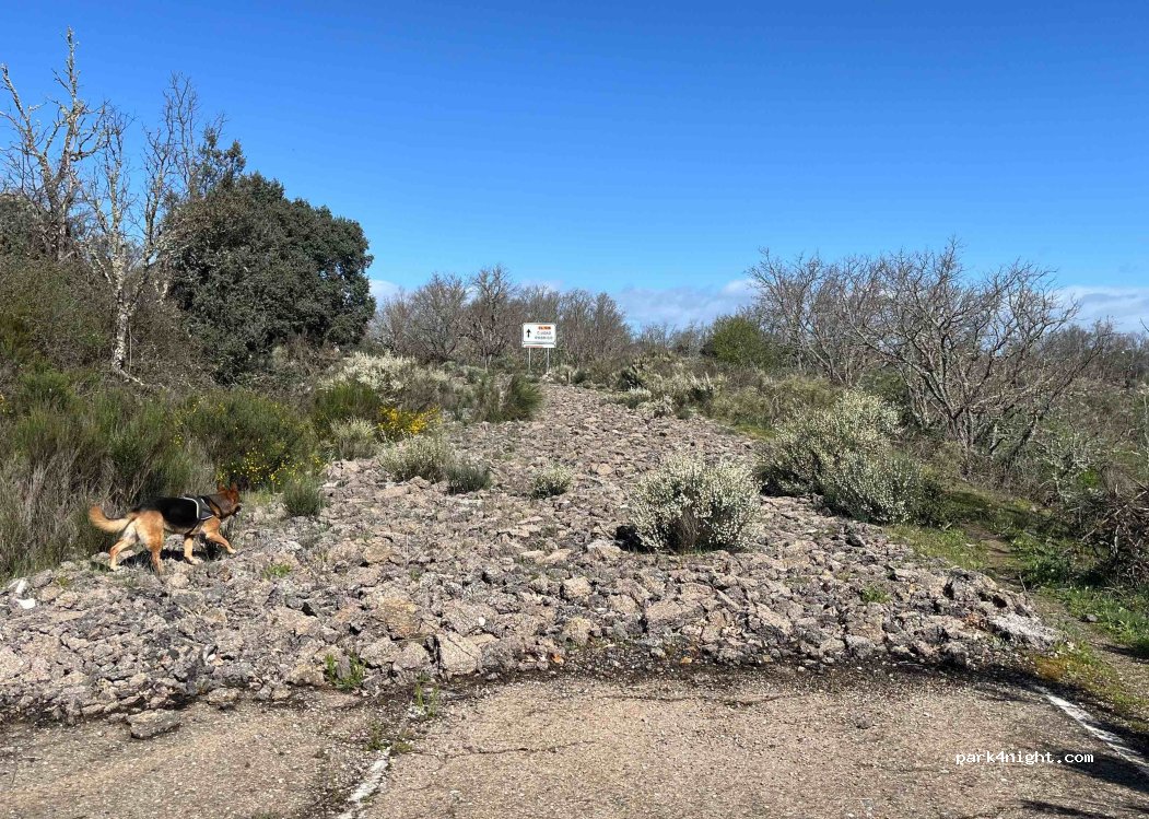 (37520) El Bodón - — foto