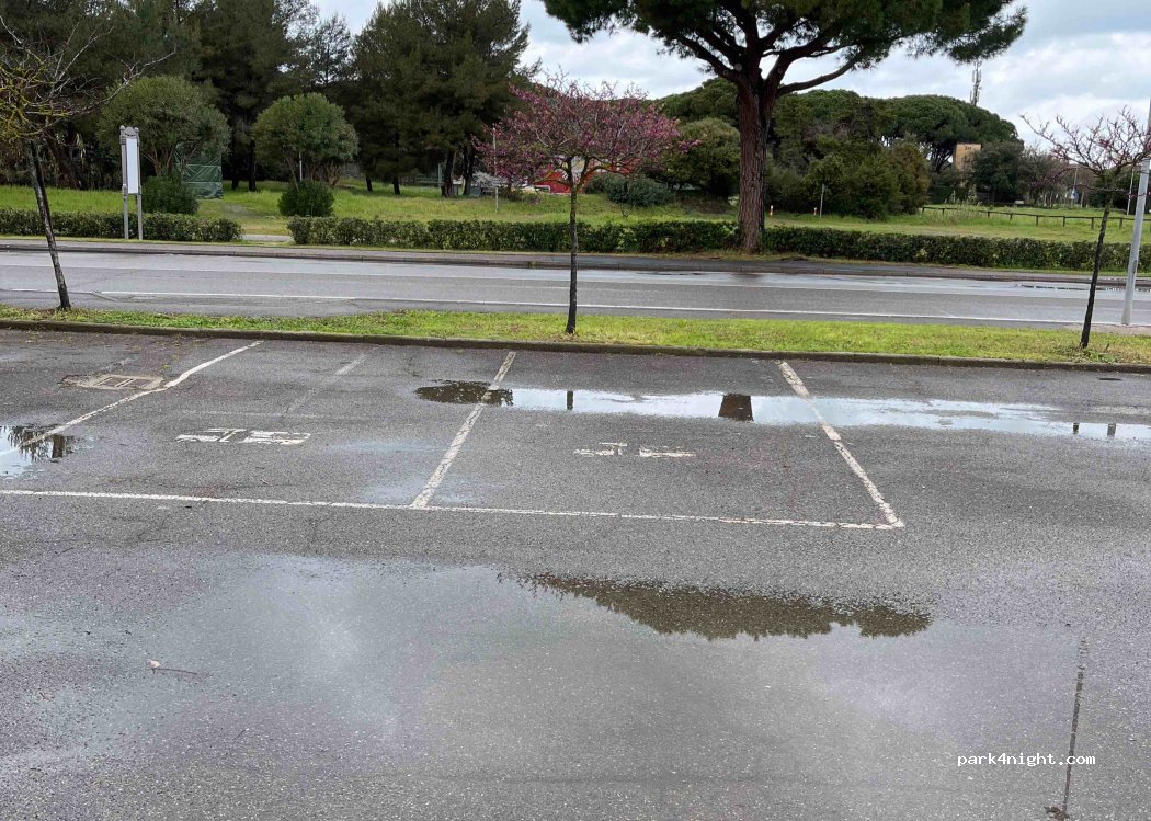 (57020) Marina di Bibbona - Via dei Pini — foto