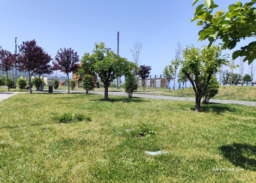 (61410)  - Trabzon Giresun Yolu — foto 4