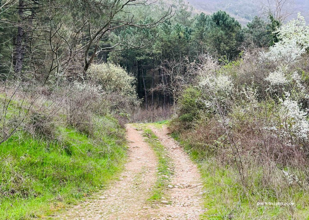 (671 00) Xanthi - EO Dramas Xanthis — foto