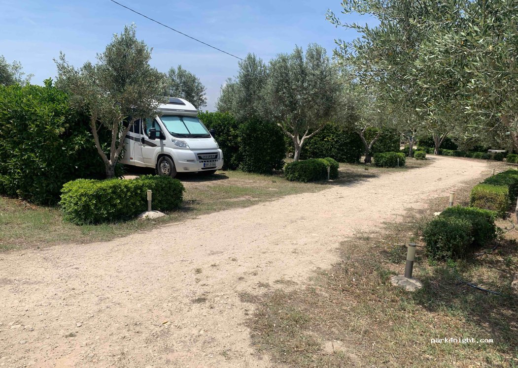 Ferme Agrimaccari — foto 4