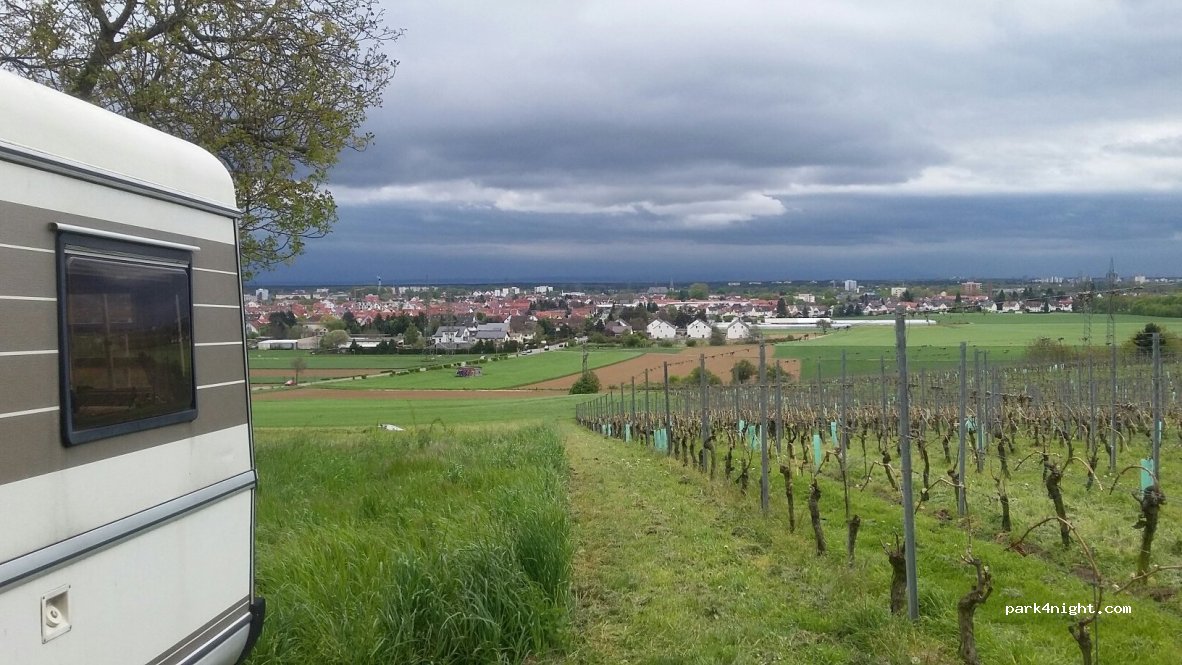 (65439) Flörsheim am Main - 4 An der Warte — foto