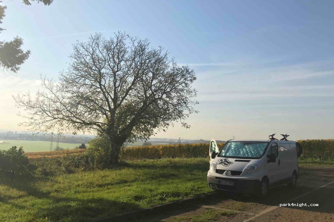 (65439) Flörsheim am Main - 4 An der Warte — foto 2