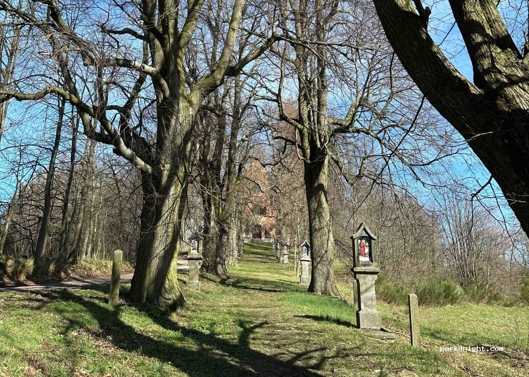 (594 44) Netín - Unnamed Road — foto