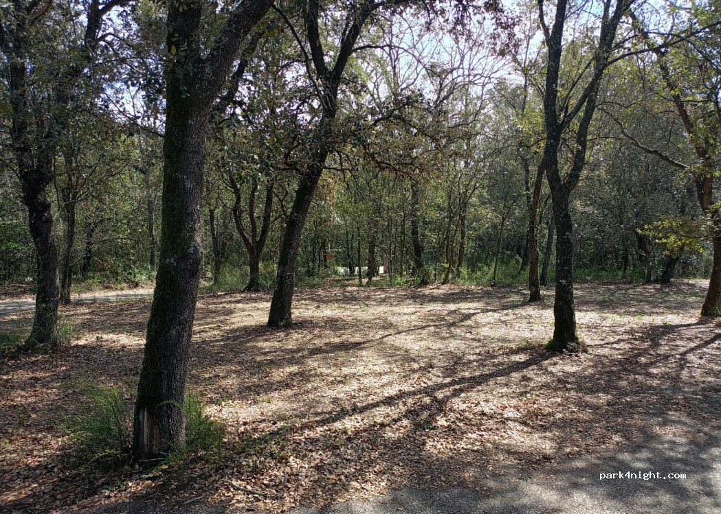 (17150) Girona - 53 Carretera — foto 4