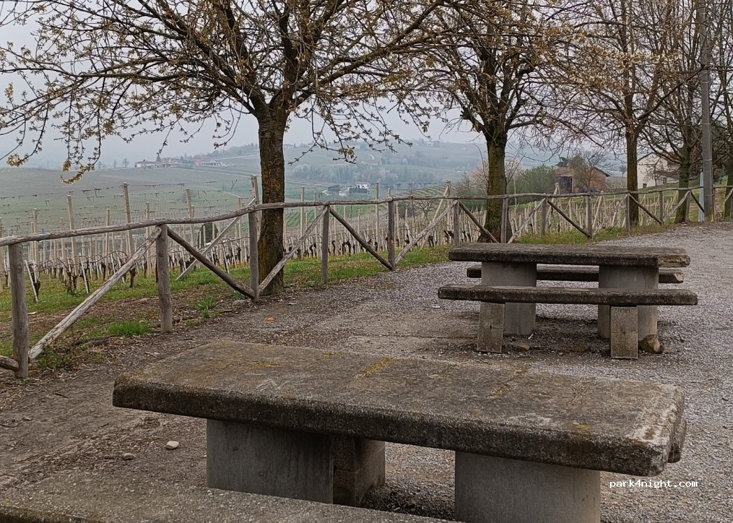 (12060) Barolo - 13 Via La Morra — foto 2