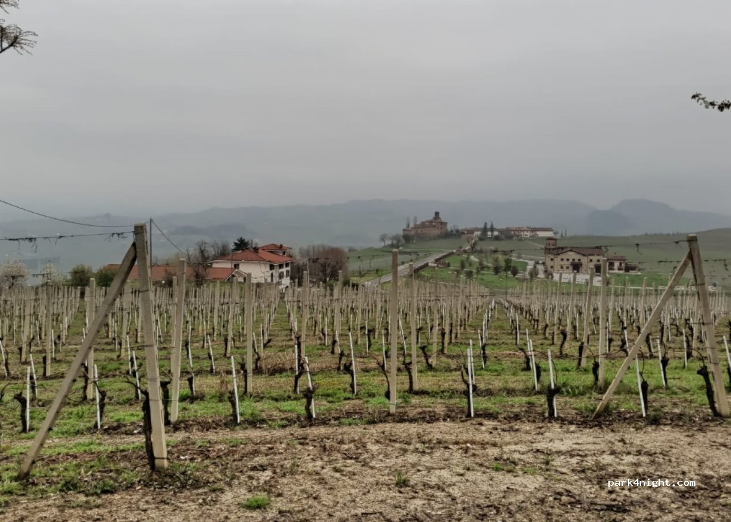 (12060) Barolo - 13 Via La Morra — foto 3