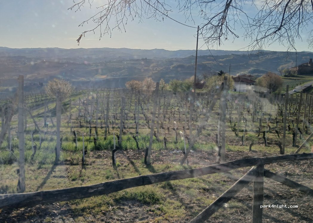 (12060) Barolo - 13 Via La Morra — foto 4